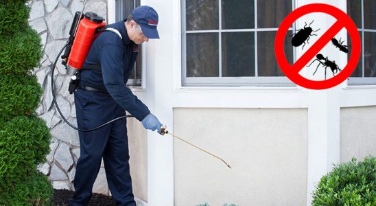 Tavas Bit İlaçlama böcek ilaçlama ve haşere kontrolü — ilaclama-tr.com